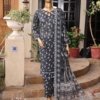 Dr Print Vol 12 Unstitched Digital Printed Doriya Lawn With Digital Printed Bamber Chiffon Duppata DPR-048