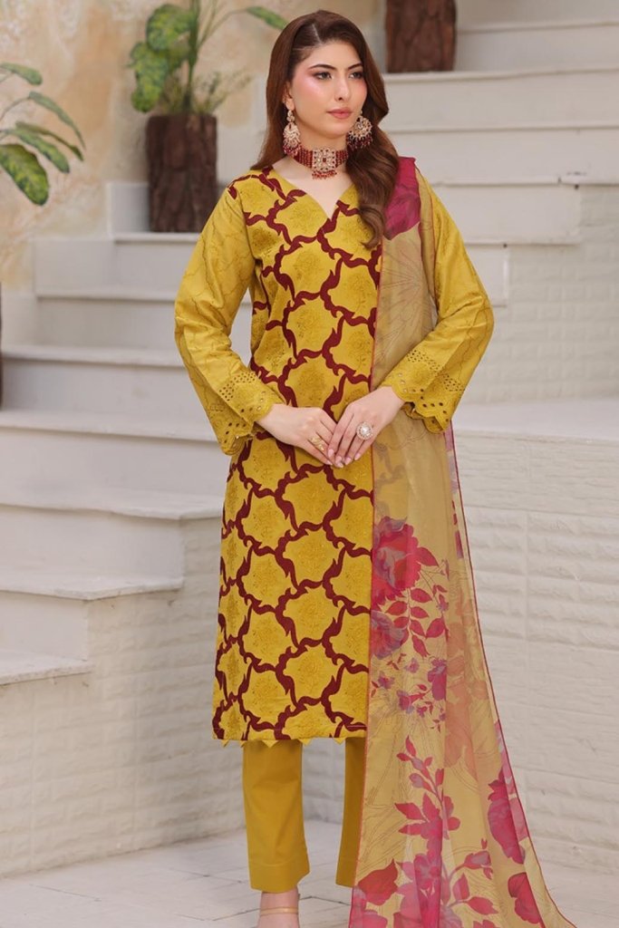 Dr Schiffli Unstitched - Vol 2 - 3 Piece - DRS-015